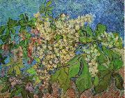 Vincent Van Gogh White Flowers with Blue Background oil painting artist